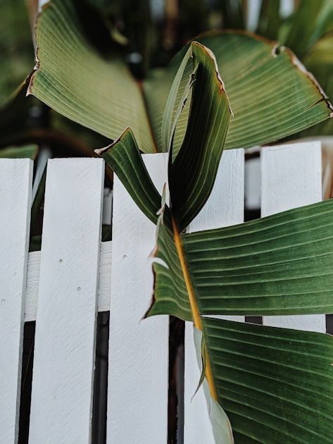 Understanding Commercial Fencing Options